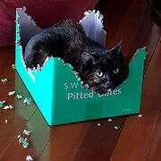 Home Owner wanting sitter in Brisbane, Queensland