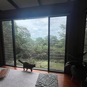 Home Owner wanting sitter in Airlie Beach, Queensland