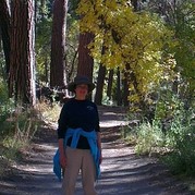 House Sitter - Experienced, reliable and caring 