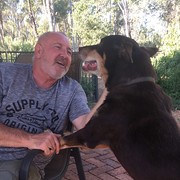 House Sitter - Caring Nomads