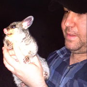 House Sitter - Thomson.( Sawyer )