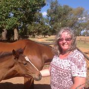 House Sitter - Caring Nomads